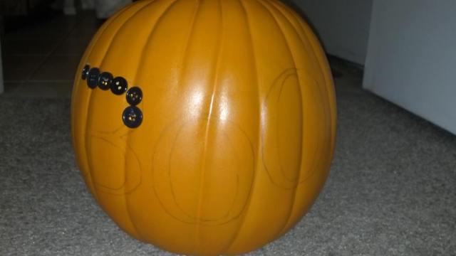 1239133_10153295627350341_1498439929_o